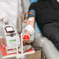 Penúltima coleta de sangue de 2016 acontece nessa quarta-feira dia 23