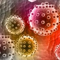 Pesquisa brasileira publicada na Science mostra como vírus Zika age no cérebro