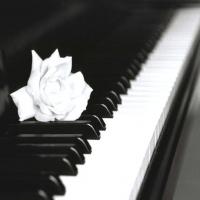 Cultura apresenta espetáculo “Uma voz, um piano...” neste sábado