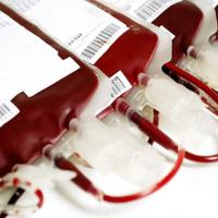 Coleta de sangue de agosto arrecadou 63 bolsas