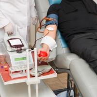 Primeira coleta de sangue de 2014 acontece nesta quarta