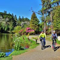 Cresce procura por passeios turísticos de bicicleta