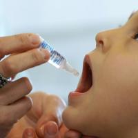 Multivacinação de crianças e adolescentes começa no próximo dia 19