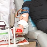 Doação de Sangue 2022: 1ª Etapa arrecada 112 bolsas