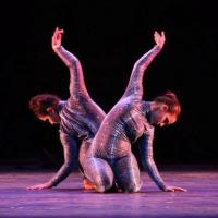 Companhia Oficina das Artes conquista 2º lugar no Festival Santa Catarina de Dança