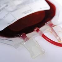 Coleta de sangue de setembro arrecadou 48 bolsas