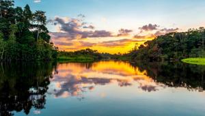 Governo lança operação contra o desmatamento na Amazônia